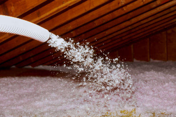 Best Specialized Insulation Services in Quanah, TX