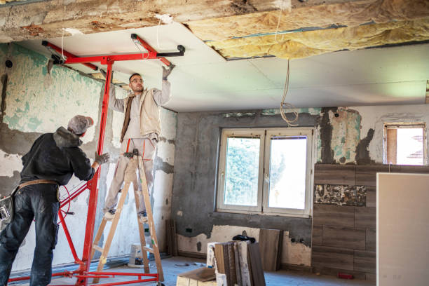Best Insulation Maintenance and Repair in Quanah, TX